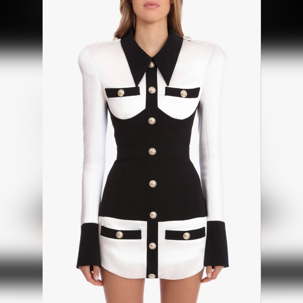 Elegant Black and White Button-Up Dress
